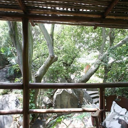 Little Forest Guest House Johannesburg Esterno foto