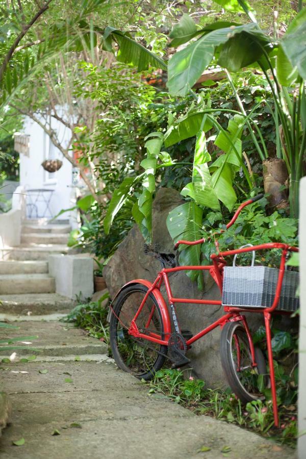 Little Forest Guest House Johannesburg Esterno foto