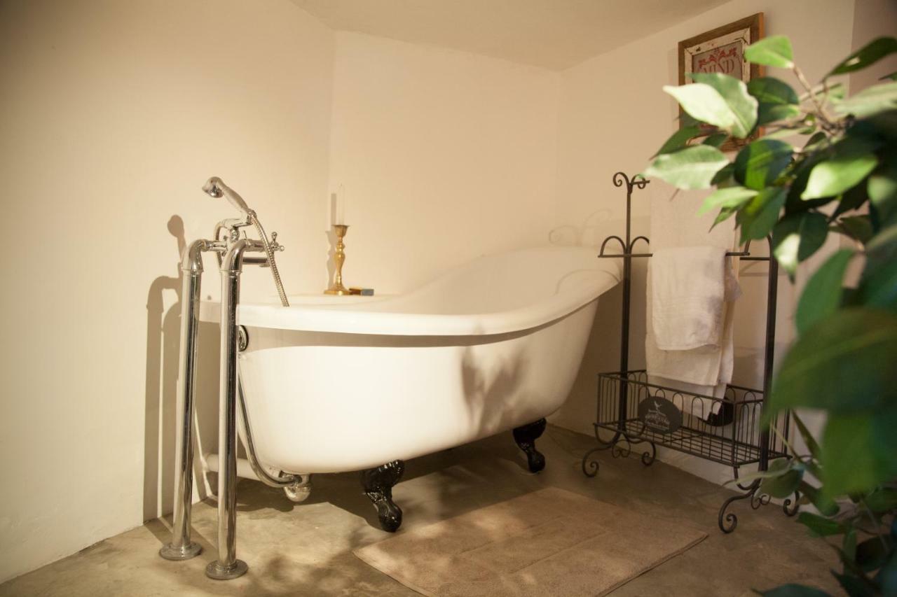 Little Forest Guest House Johannesburg Esterno foto